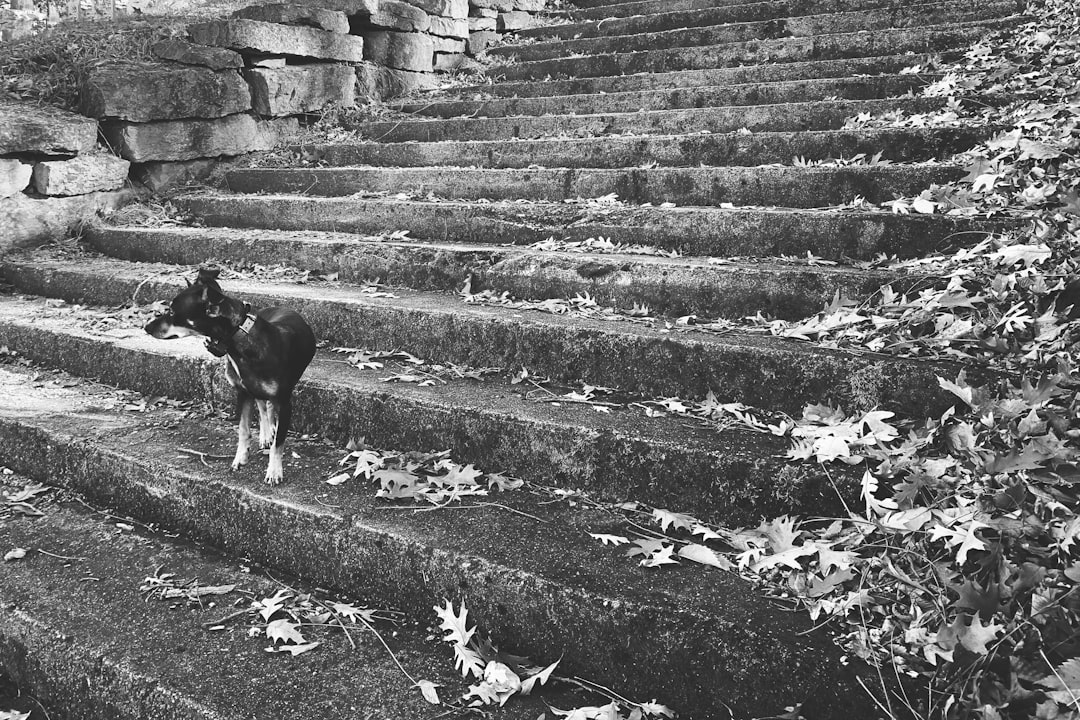 Comment débloquer votre potentiel